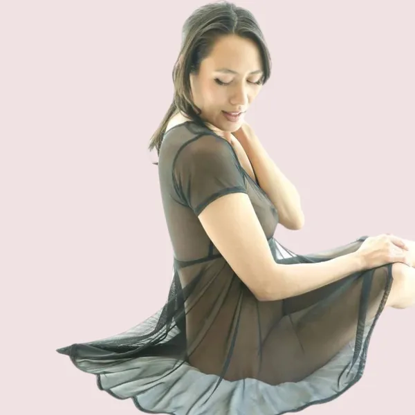 Black_Sexy_Sheer_Mesh_Skater_Dress_For_Women