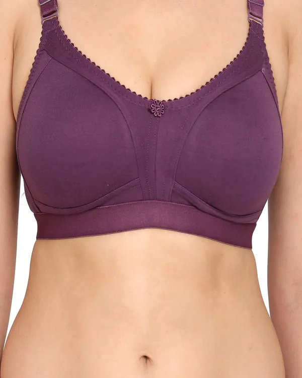 Purple_T-Shirt_D-Cup_Bra_For_Women
