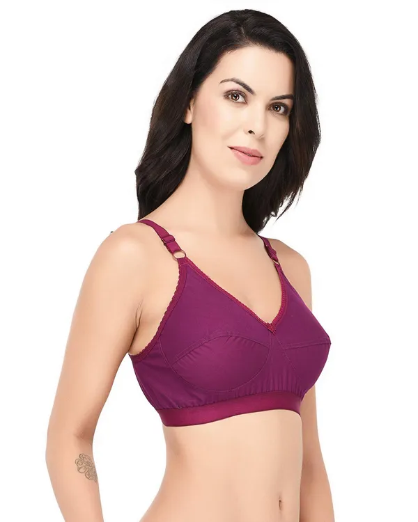 Purple_T-Shirt_Bra_For_Women