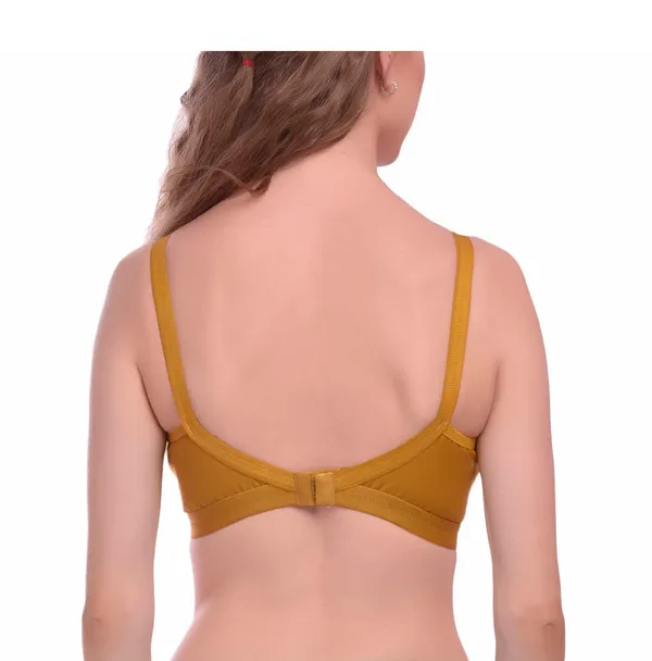 Brown_T-Shirt_Bra_for_Women_|_Non-Padded_and_Cotton_Hosiery