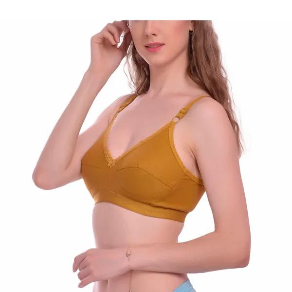 Brown_T-Shirt_Bra_for_Women_|_Non-Padded_and_Cotton_Hosiery