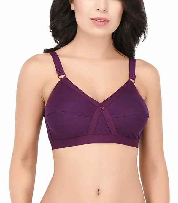 Purple_T-Shirt_Bra_for_Women_|_Non-Padded_and_Cotton_Hosiery