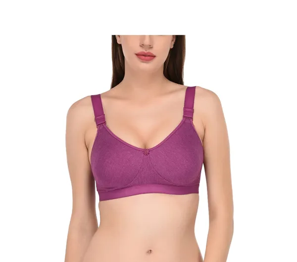 Purple_T-Shirt_Bra_for_Women_|_Non-Padded_and_Cotton_Hosiery