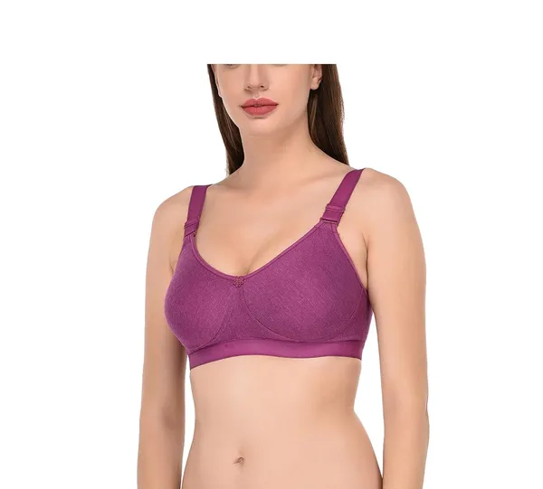 Purple_T-Shirt_Bra_for_Women_|_Non-Padded_and_Cotton_Hosiery