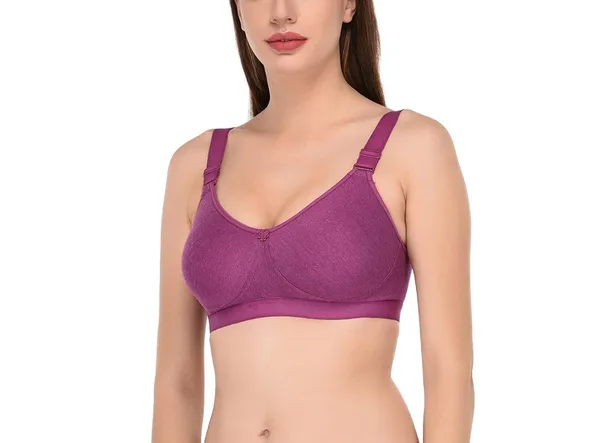 Purple_Comfortable_Bra_for_Women_|_Cotton_Hosiery