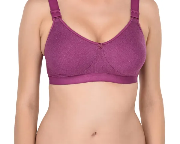 Purple_Comfortable_Bra_for_Women_|_Cotton_Hosiery
