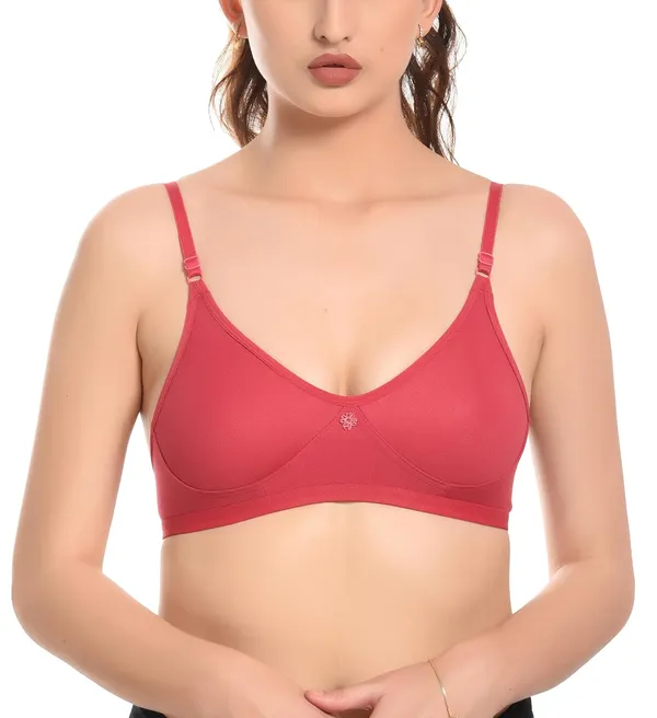 Pack_of_2_|_Lipstick_&_Mauve_T-Shirt_Bra_for_Women_|_Non-Padded_and_Cotton_Hosiery