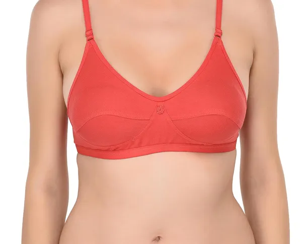 Pack_of_2_|_Blue_T-Shirt_Bra_for_Women_|_Non-Padded_and_Cotton_Hosiery