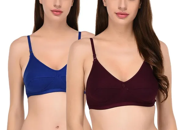Pack_of_2_|_Blue_T-Shirt_Bra_for_Women_|_Non-Padded_and_Cotton_Hosiery