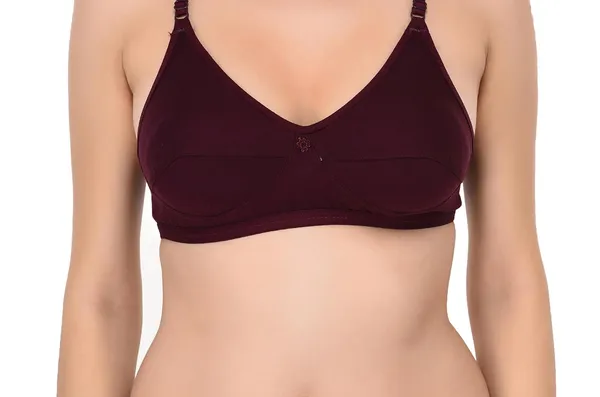 Pack_of_2_|_Blue_T-Shirt_Bra_for_Women_|_Non-Padded_and_Cotton_Hosiery