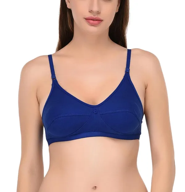 Pack_of_2_|_Blue_T-Shirt_Bra_for_Women_|_Non-Padded_and_Cotton_Hosiery