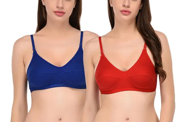 Pack_of_2_|_Blue_T-Shirt_Bra_for_Women_|_Non-Padded_and_Cotton_Hosiery