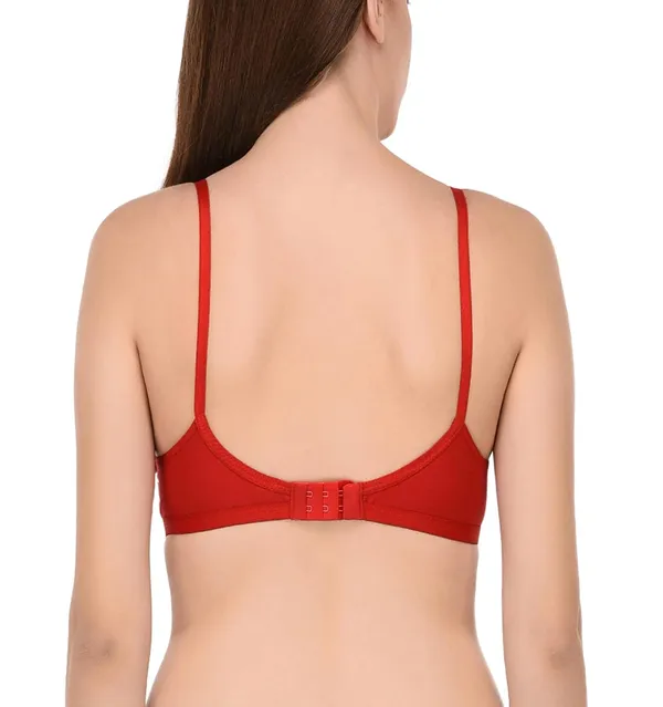 Pack_of_2_|_Blue_T-Shirt_Bra_for_Women_|_Non-Padded_and_Cotton_Hosiery