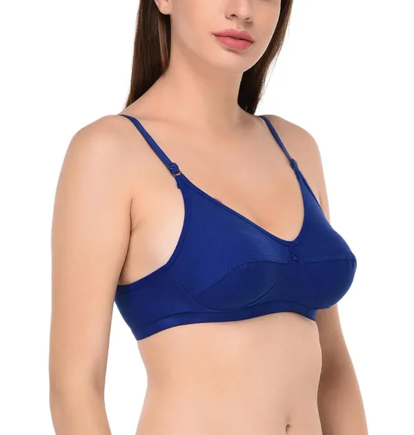Pack_of_2_|_Blue_T-Shirt_Bra_for_Women_|_Non-Padded_and_Cotton_Hosiery