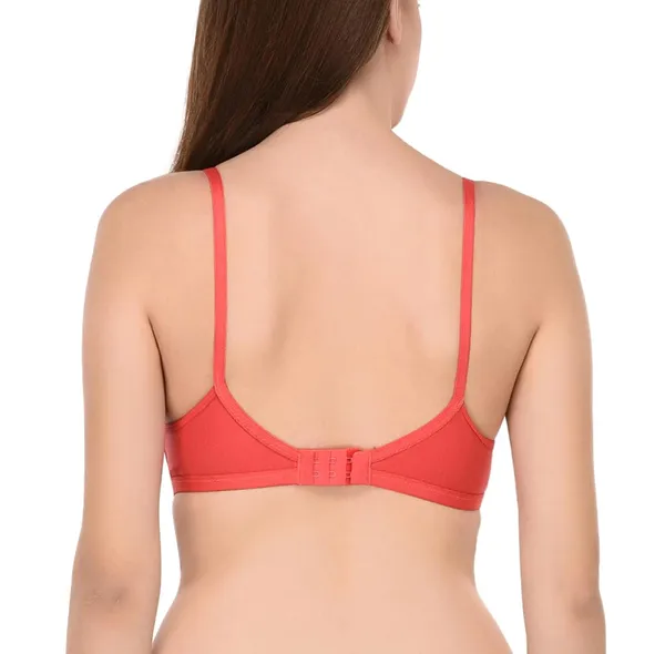 Pack_of_2_|_Peach_T-Shirt_Bra_for_Women_|_Non-Padded_and_Cotton_Hosiery