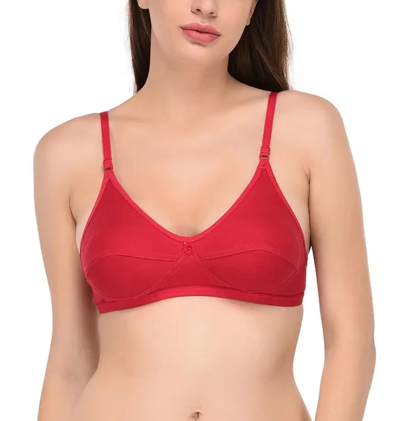 Pack_of_2_|_Peach_T-Shirt_Bra_for_Women_|_Non-Padded_and_Cotton_Hosiery