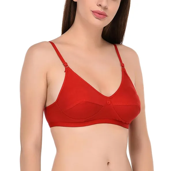 Pack_of_2_|_Peach_T-Shirt_Bra_for_Women_|_Non-Padded_and_Cotton_Hosiery