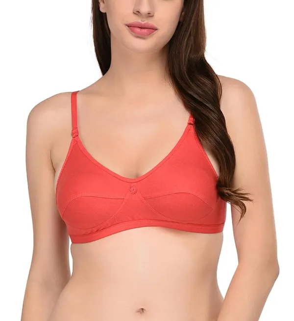 Pack_of_2_|_Peach_T-Shirt_Bra_for_Women_|_Non-Padded_and_Cotton_Hosiery