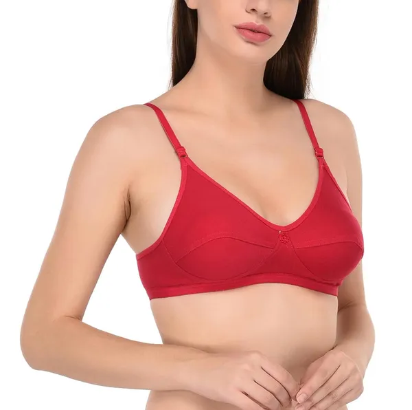 Pack_of_2_|_Purple_T-Shirt_Bra_for_Women_|_Non-Padded_and_Cotton_Hosiery
