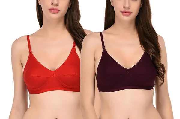 Pack_of_2_|_Purple_T-Shirt_Bra_for_Women_|_Non-Padded_and_Cotton_Hosiery