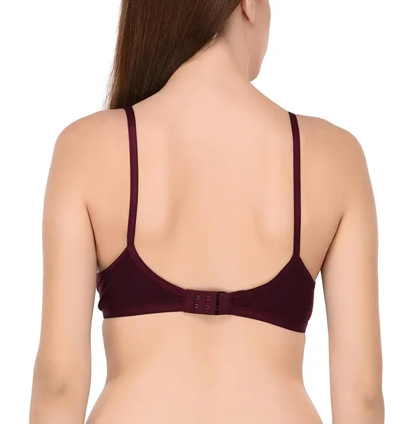 Pack_of_2_|_Purple_T-Shirt_Bra_for_Women_|_Non-Padded_and_Cotton_Hosiery
