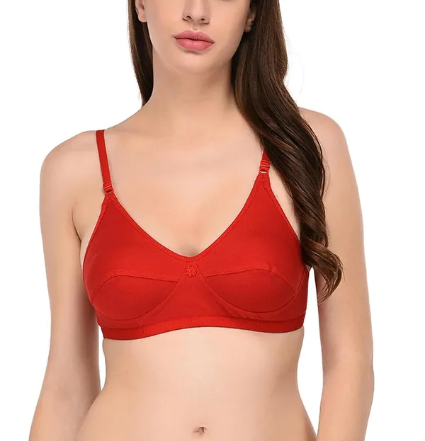 Pack_of_2_|_Purple_T-Shirt_Bra_for_Women_|_Non-Padded_and_Cotton_Hosiery