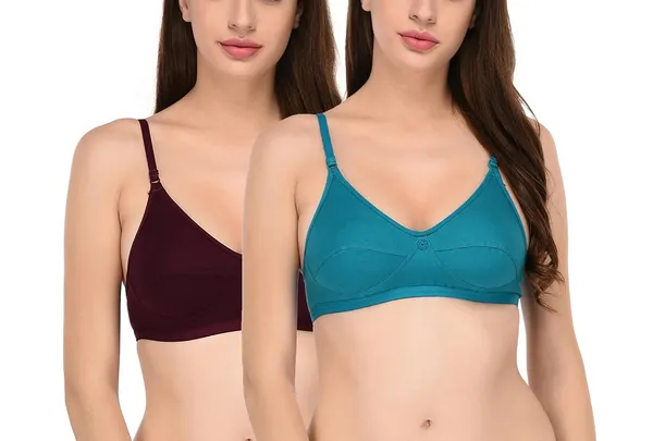 Pack_of_2_|_Purple_T-Shirt_Bra_for_Women_|_Non-Padded_and_Cotton_Hosiery