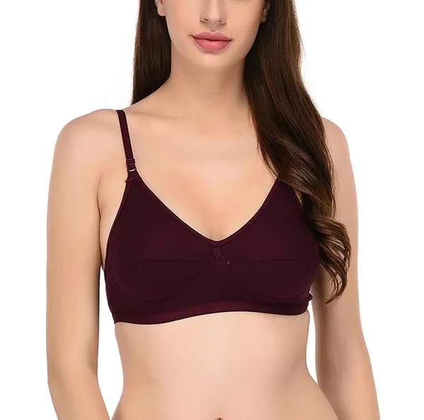 Pack_of_2_|_Purple_T-Shirt_Bra_for_Women_|_Non-Padded_and_Cotton_Hosiery