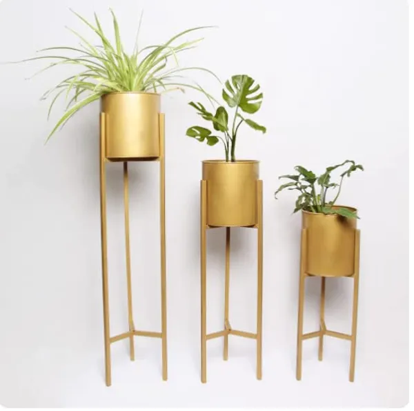 Gold_metal_plant_stand_with_3_GI_pots,_black_powder-coated_metal_planter_stand_for_indoor_and_outdoor_use._Gold_stand_with_black_pots.