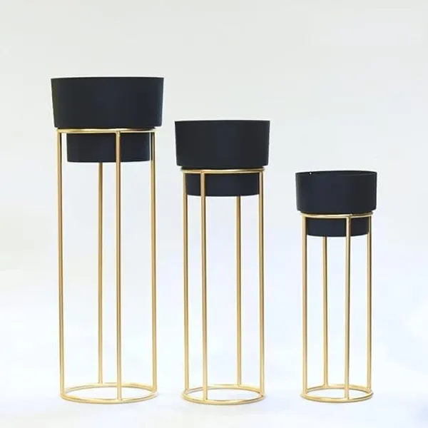 Golden_metal_floor-standing_plant_stand_with_a_black_pot.
