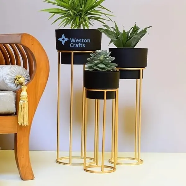 Golden_metal_floor-standing_plant_stand_with_a_black_pot.