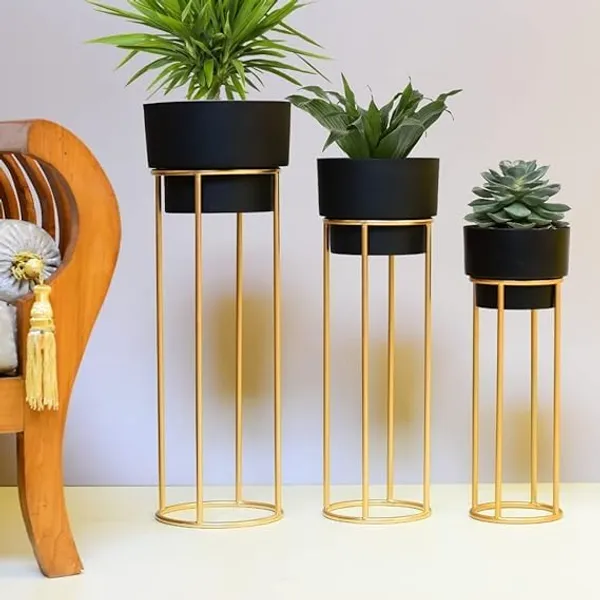 Golden_metal_floor-standing_plant_stand_with_a_black_pot.