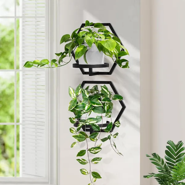 Weston_Crafts_3_Packs_Wall_Planters_for_Indoor_Plants,_Metal_Plant_Holder_Hanger_Wall_Decor_Mounted_Hanging_Window_Shelves_Outdoor_Rack(Black)