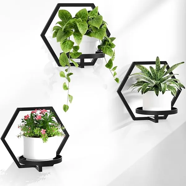 Weston_Crafts_3_Packs_Wall_Planters_for_Indoor_Plants,_Metal_Plant_Holder_Hanger_Wall_Decor_Mounted_Hanging_Window_Shelves_Outdoor_Rack(Black)