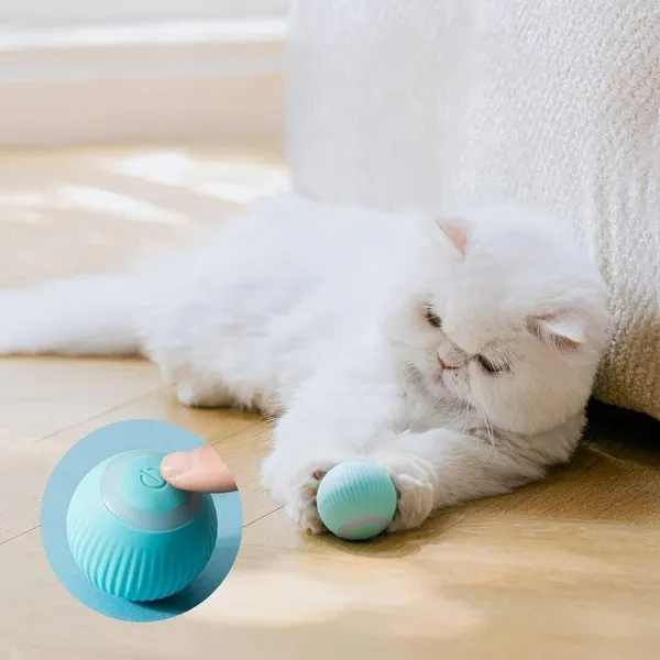 Multicolor_Rotating_Cat_Toy_Ball_Interactive_Cat_Toys_Rechargeable_Rotating_Ball_With_Led
