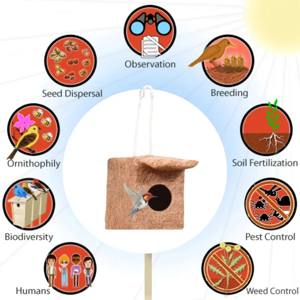 Brown_Coir_Fiber_And_Cotton_Box_Single_Standby_Bird_House