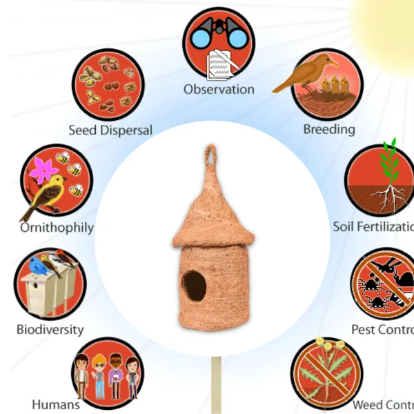 Brown_Coir_Fiber_And_Cotton_Box_Japanese_Hut_Bird_Nest