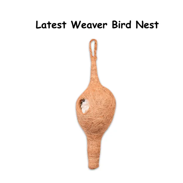 Brown_Coir_Fiber_And_Cotton_Box_Latest_Weaver_Bird_Nest_(Pack_Of_2)
