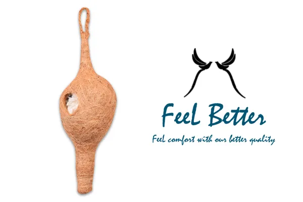 Brown_Coir_Fiber_And_Cotton_Box_Latest_Weaver_Bird_Nest_(Pack_Of_2)