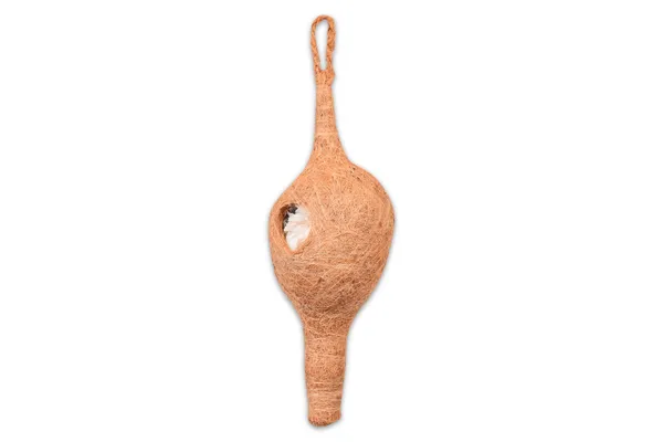 Brown_Coir_Fiber_And_Cotton_Box_Latest_Weaver_Bird_Nest_(Pack_Of_2)