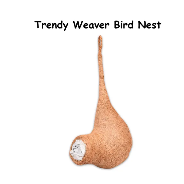Brown_Coir_Fiber_And_Cotton_Box_Round_Ball_Bird_Nest_(Pack_Of_2)