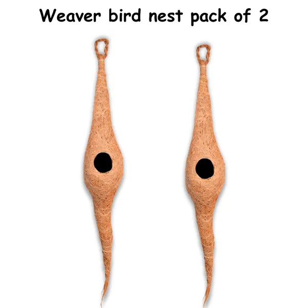 Brown_Coir_Fiber_And_Cotton_Box_Weaver_Bird_Nest_(Pack_Of_2)