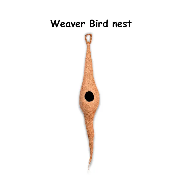 Brown_Coir_Fiber_And_Cotton_Box_Weaver_Bird_Nest_(Pack_Of_2)
