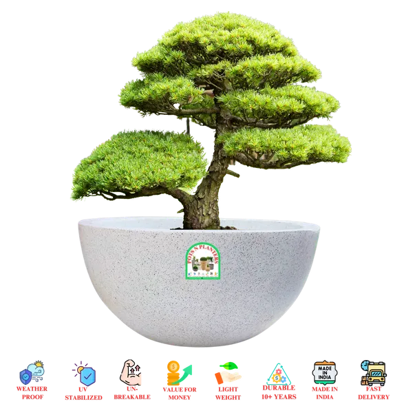 White_Marble_Fibre_Hemi_Spherical_Pot_With_Shallow_Height_(_14_Inch_X_7_Inch_)