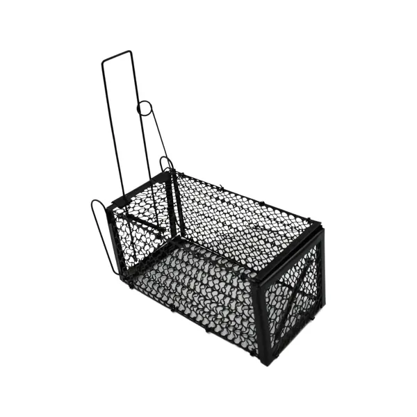 Multicolor_Foldable_Small_Live_Animal_Trap