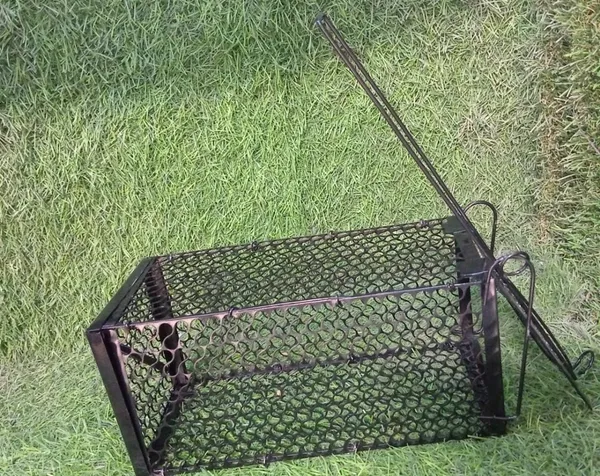 Multicolor_Foldable_Small_Live_Animal_Trap