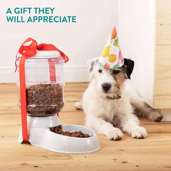 Multicolor_Automatic_Pet_Food_Dispenser