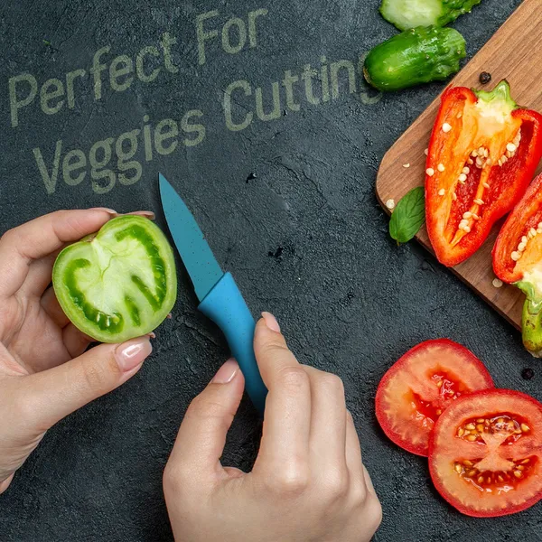 Multicolor_Professional_High_Carbon_Stainless_Steel_Non-Stick_Blades_Cutting_Knives_Set_(Set_Of_6)