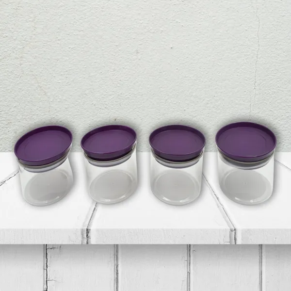 Multicolor_Airtight_Plastic_Storage_Container_Tray_Set_With_Lid_(4_Pc)