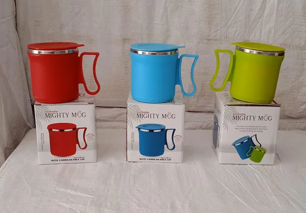 Multicolor_Insulated,_Leakproof_Lid_Stainless_Steel_Mug_(300Ml)